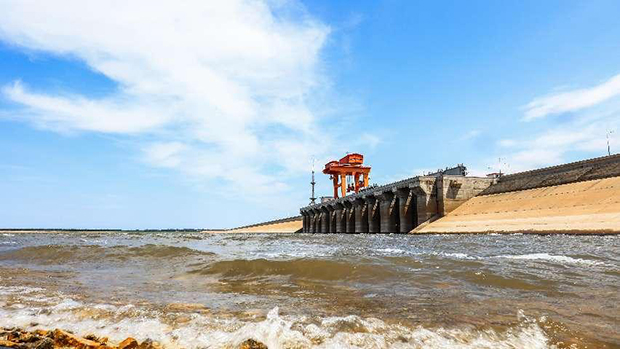 image005.jpg image005.jpg