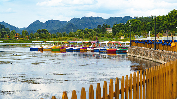 image007.jpg image007.jpg