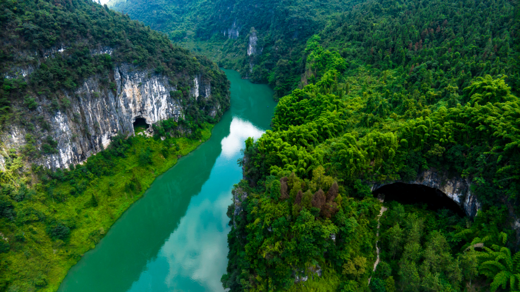 Honeyview_image005.jpg Honeyview_image005.jpg