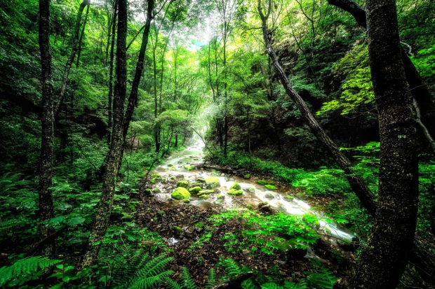 image003 (2).jpg image003 (2).jpg